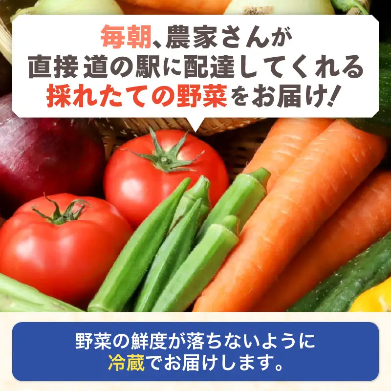 【先行予約】【定期便6回】道の駅駅長チョイス！ 旬の野菜セット 5品目以上 / 季節 野菜 ボックス BOX セット セレクト 農家 おまかせ 多品目 旬 詰め合わせ 根菜 葉物 ※2027年6月上旬より順次発送 [aw090-c001]