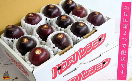 《今が旬！》とくのしま中島農園さんのパッションフルーツ 2kg 果物 フルーツ 奄美 徳之島