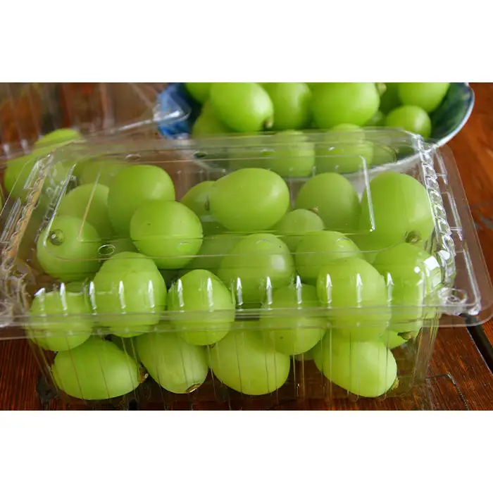 【ご家庭用】岡山県産シャインマスカット バラ粒 1kg（500g×2パック）