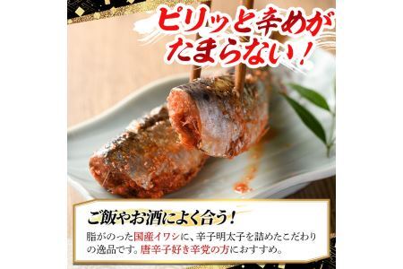 ピリ辛 いわし明太6尾 福岡名物の辛子明太子をイワシに詰め込みました 明太子 めんたいこ イワシ 鰯 国産 海鮮 魚介類 惣菜 加工品 おかず おつまみ 福岡＜離島配送不可＞【ksg0343】【マル五】