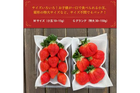 ＜予約受付中！2027年2月より順次発送予定＞＜不揃い＞あまおう(計1.14kg・285g×4P) 苺 いちご イチゴ フルーツ 果物 ヨーグルト ジャム スムージー 冷蔵 特別栽培 福岡県 国産＜離島配送不可＞【ksg1222】【うるう農園】