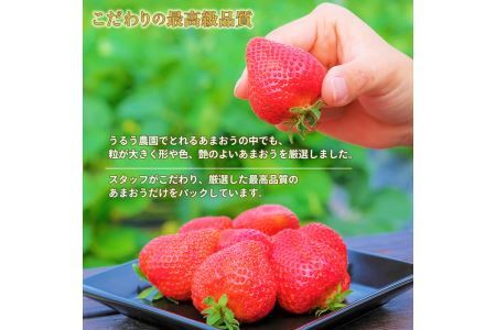 ＜予約受付中！2026年12月より順次発送予定＞特選あまおう(約800g)  苺 いちご イチゴ 国産 福岡県 果物 フルーツ ヨーグルト ジャム スムージー 冷蔵 特別栽培＜離島配送不可＞【ksg1319】【うるう農園】