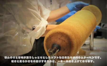 やわらかバウムクーヘン　小 ハタダ バウムクーヘン やわらか 菓子 ふわふわ 畑田本舗 