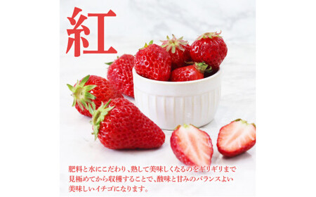 “Berry農園”山本さんの紅白いちご