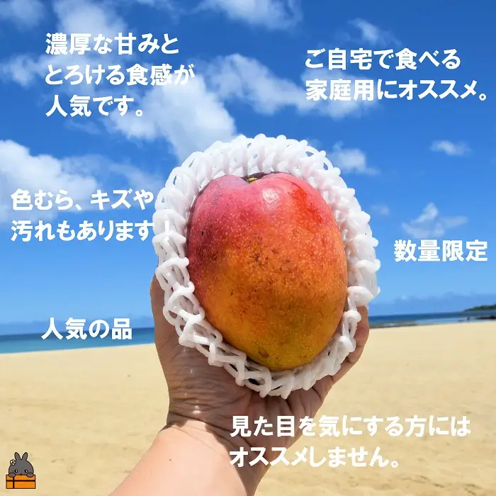 ≪今が旬！≫訳あり！【家庭用】徳之島産完熟マンゴー1kg（2～3玉）フルーツ わけあり 訳あり 果物