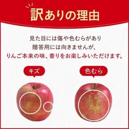 【先行受付】長野県産 サンふじ りんご 家庭用 訳あり 5kg(12～20玉)【1360194】