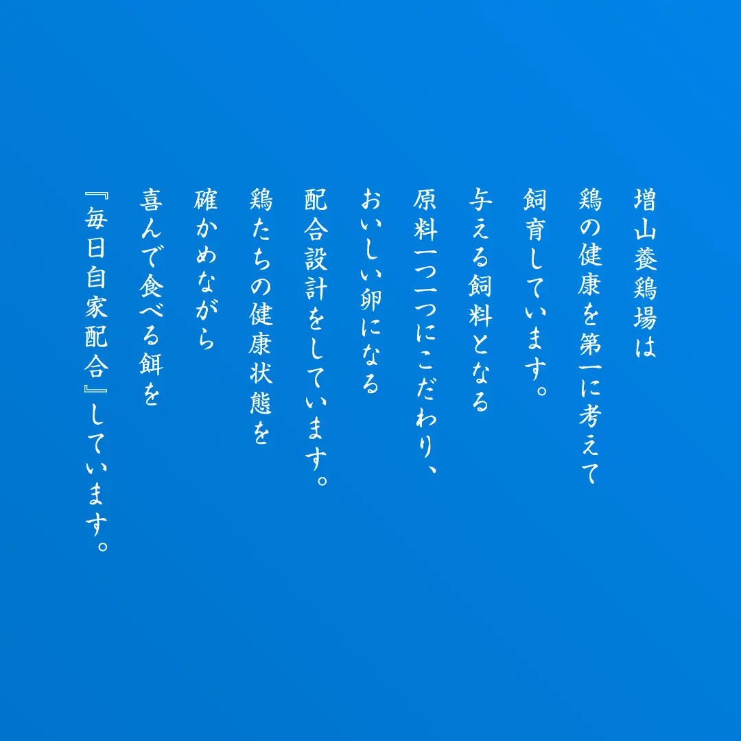 もったいない卵 30粒 ( 26粒 + 破損補償分 4粒) 卵 たまご 鶏 養鶏場直送　新鮮　訳アリ　規格外　お得 ふるさと納税 5000円 [CZ005ya]