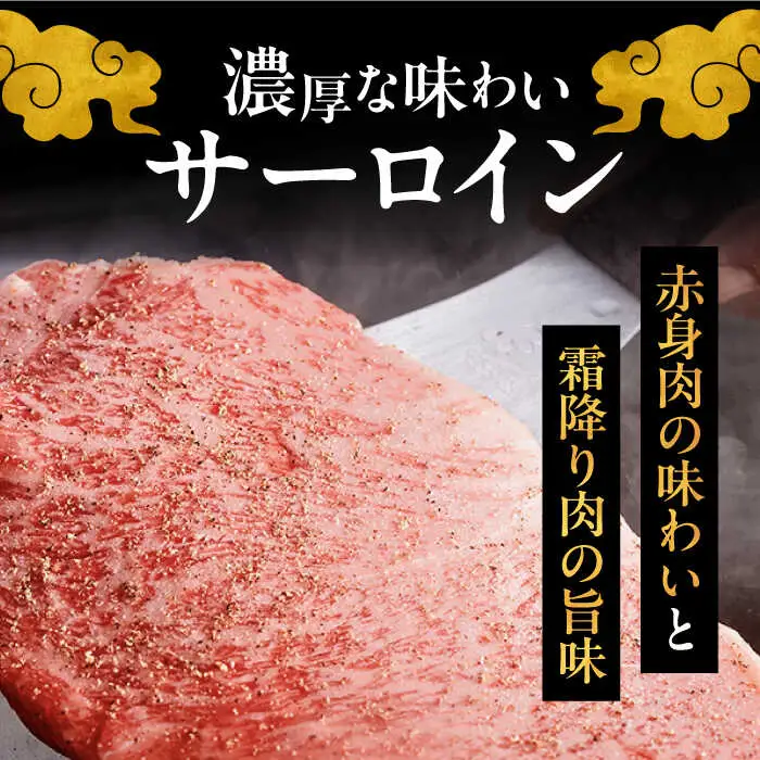 【全6回定期便】博多和牛 贅沢 食べ比べ 4人前 ( ステーキ すき焼き しゃぶしゃぶ ハンバーグ ) [ADBM158] サーロイン ヒレ シャトーブリアン 赤身 ハンバーグ ロース 定期便 