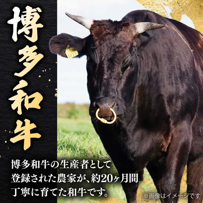 博多和牛 肩ロース 400g 焼肉 和牛 牛肉 九州産 国産 桂川町/ワイエスフード株式会社 [ADBP001] 国産牛 牛肉 肉 焼き肉用 ロース
