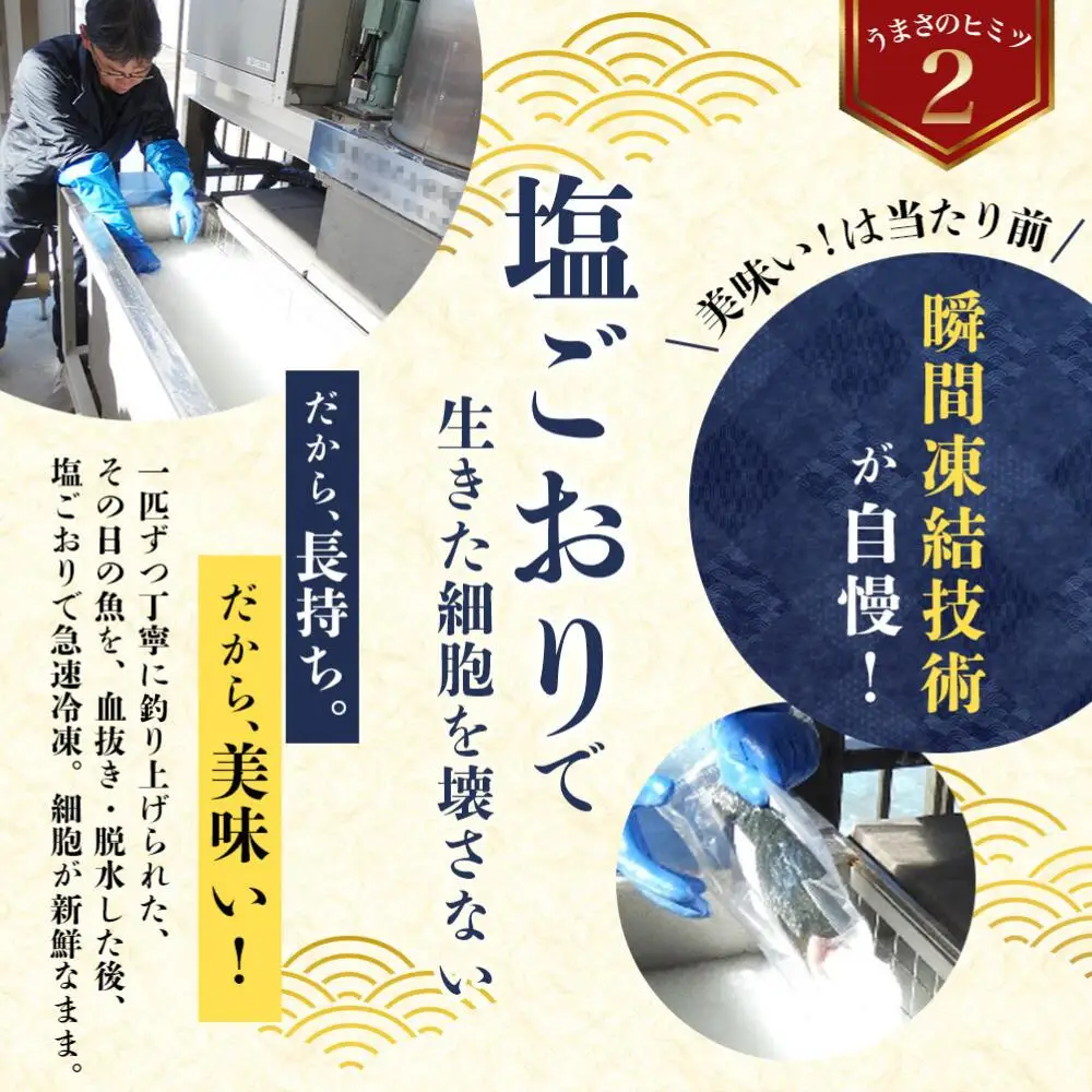 【かつおのたたき】 和歌山県産 約1kg かつお【scp012】