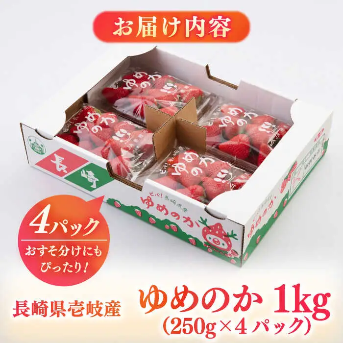 【先行予約】いちご ゆめのか 1kg [JBO138] イチゴ 苺