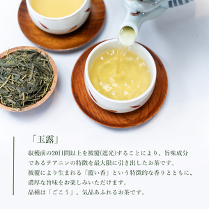 綾部茶ギフトセット「綾」6種セット 玉露 煎茶 抹茶 あやあま ほうじ茶 お茶 旨味 製菓用 抹茶ラテ 焙煎茶 綾部産 茶葉