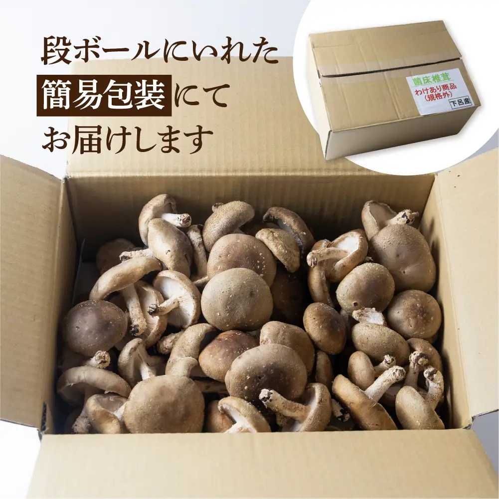 先行予約【期間限定】（2026年11月から順次発送）訳あり 不揃い【期間限定】（2025年11月から順次発送）菌床生椎茸　詰め合わせ 2kg（大・小・形 混合）生椎茸 規格外 訳アリ 【71-6】