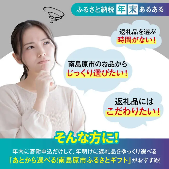 【あとから選べる】南島原市 ふるさとギフト 400万円分 / 寄付 あとから寄附 あとからギフト あとからセレクト あとからチョイス あとから選べる 長崎県 駆け込み寄附 後から選べる 後から選べるギフト 後からセレクト 先に寄付 400万円 4000000円 [SZX015]