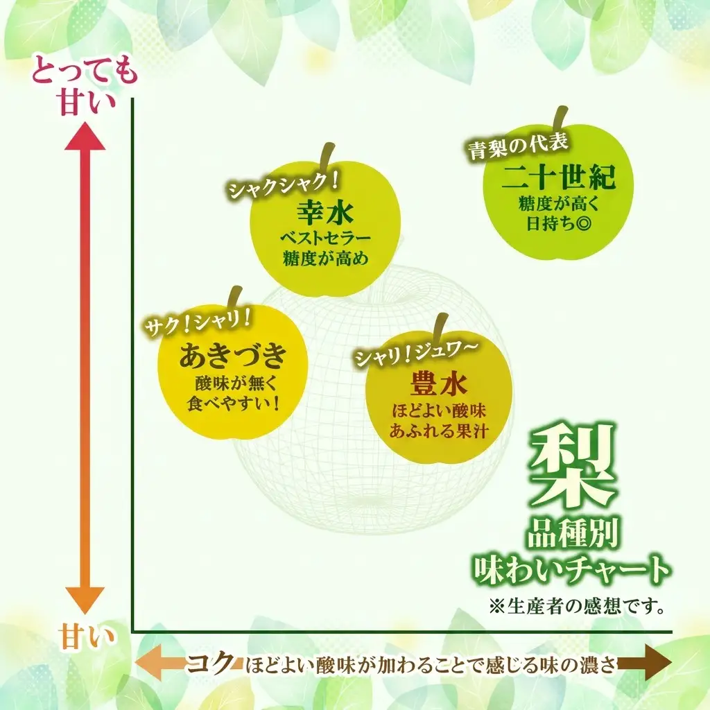 特選 幸水 約3kg 大玉 6～8個 なし 梨 ナシ もぎたて 甘い 旬 果物 GAP 認証 産地直送 贈り物 贈答用 送料無料 上の山 彩果園 うえのやま さいかえん  福島県 郡山市