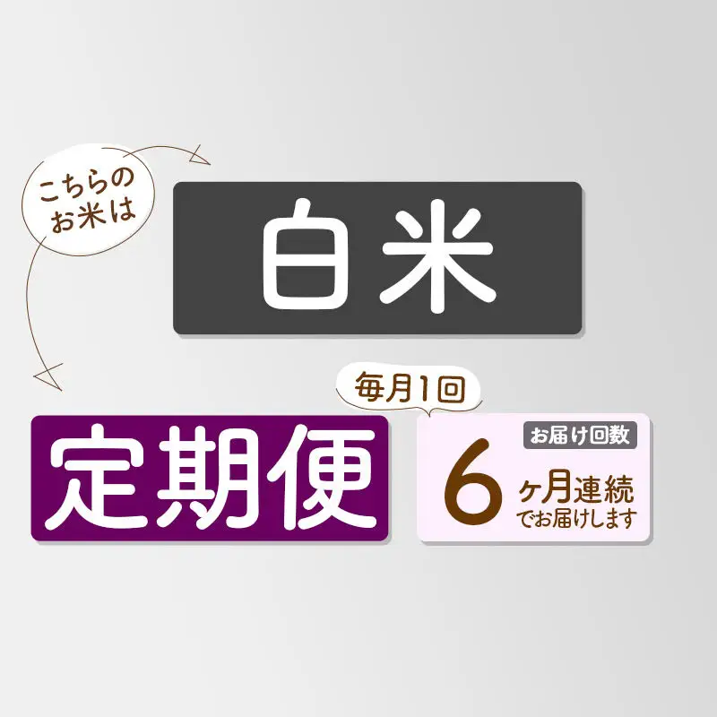 《新米》《定期便6ヶ月》【白米】あきたこまち 一等米 10kg 秋田県産 令和8年産 こまちライン