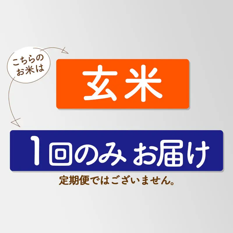 《新米》【玄米】あきたこまち 一等米 5kg 秋田県産 令和8年産  こまちライン