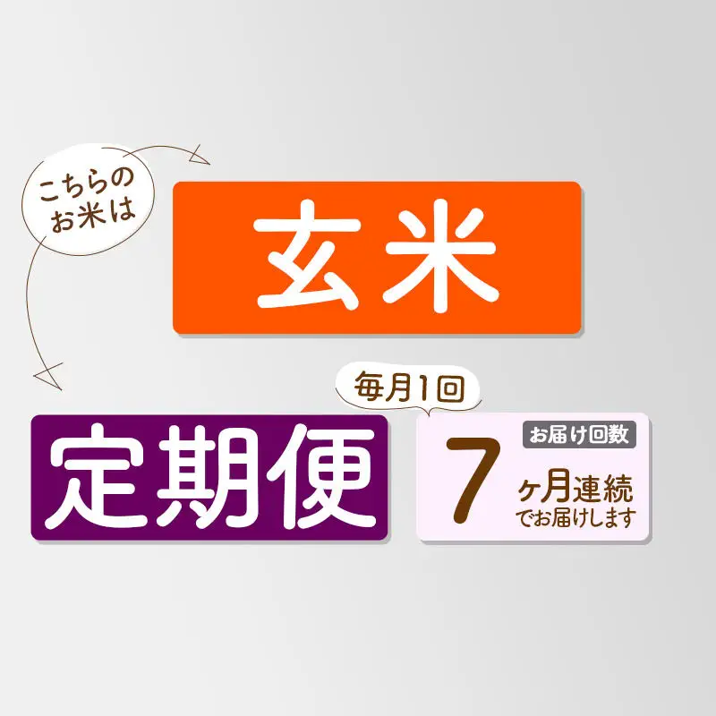 《新米》《定期便7ヶ月》【玄米】あきたこまち 一等米 10kg 秋田県産 令和8年産  こまちライン