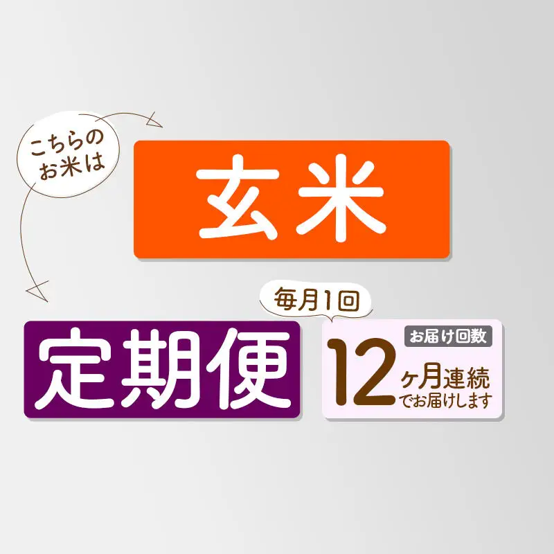 《新米》《定期便12ヶ月》【玄米】あきたこまち 一等米 10kg 秋田県産 令和8年産  こまちライン