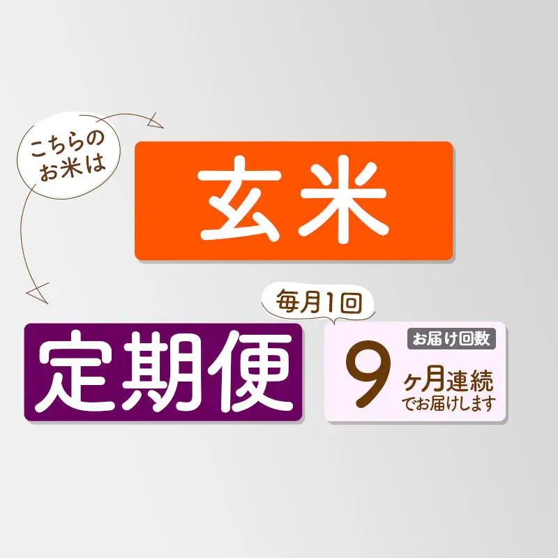 《新米》《定期便9ヶ月》【玄米】あきたこまち 一等米 30kg 秋田県産 令和8年産  こまちライン