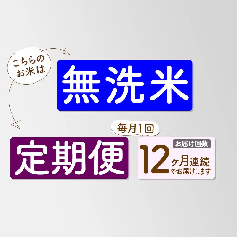 《新米》《定期便12ヶ月》【無洗米】あきたこまち 一等米 10kg 秋田県産 令和8年産 こまちライン