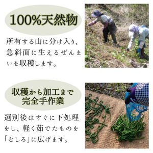 100%天然物 特上 干しぜんまい 120g 令和8年産 新物【2026年産 乾燥ぜんまい 干しぜんまい 天日干し 手もみ 乾物 新潟県 糸魚川市 山菜 ゼンマイ 能生 完全手作業 完全天日乾燥 笠原建設 煮物 炒め物 ナムル】
