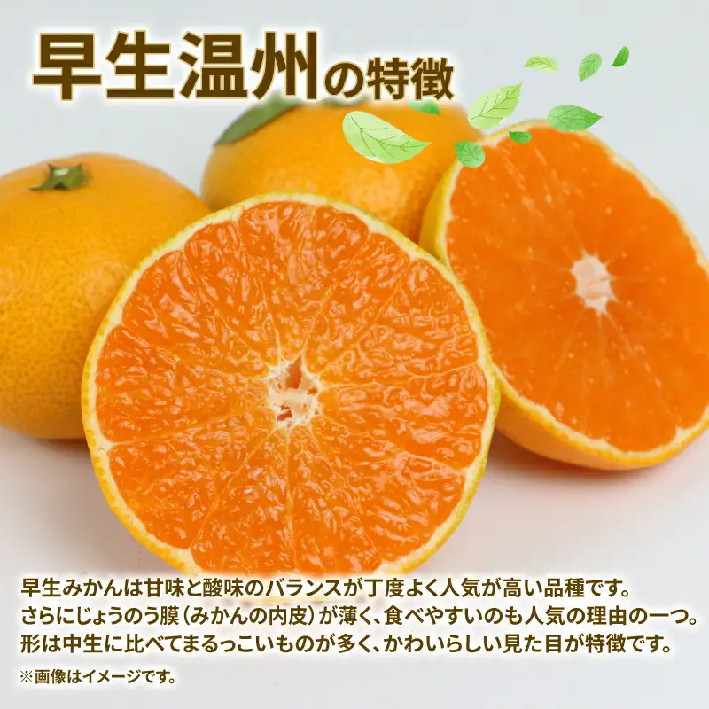 訳あり 愛媛 みかん 早生 温州 10kg 陽だまりミカン ﾐｶﾝﾐｶﾝﾐｶﾝﾐｶﾝﾐｶﾝﾐｶﾝﾐｶﾝ B010-050006
