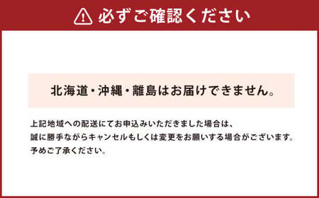 ＜ R8年熊本地震復興支援 ＞【配送指定日必須】天草産 活車海老 600g（15～25尾入り）【発送期間2026年11月6日～2027年3月31日】活き海老 刺身 車エビ えび 活き車海老 車えび