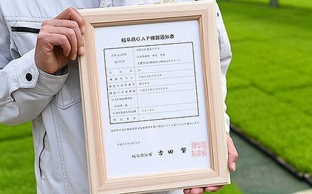 令和6年産米 美濃加茂の お米 定期便（毎月） 4回セット ( 10kg×4回 ) | ハツシモ 春見ライス 米 コメ M80S18