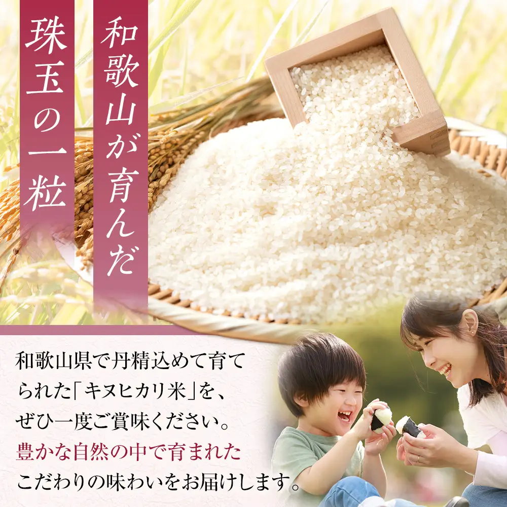 和歌山県産 米 キヌヒカリ 10kg  (2025年産)［SL28］