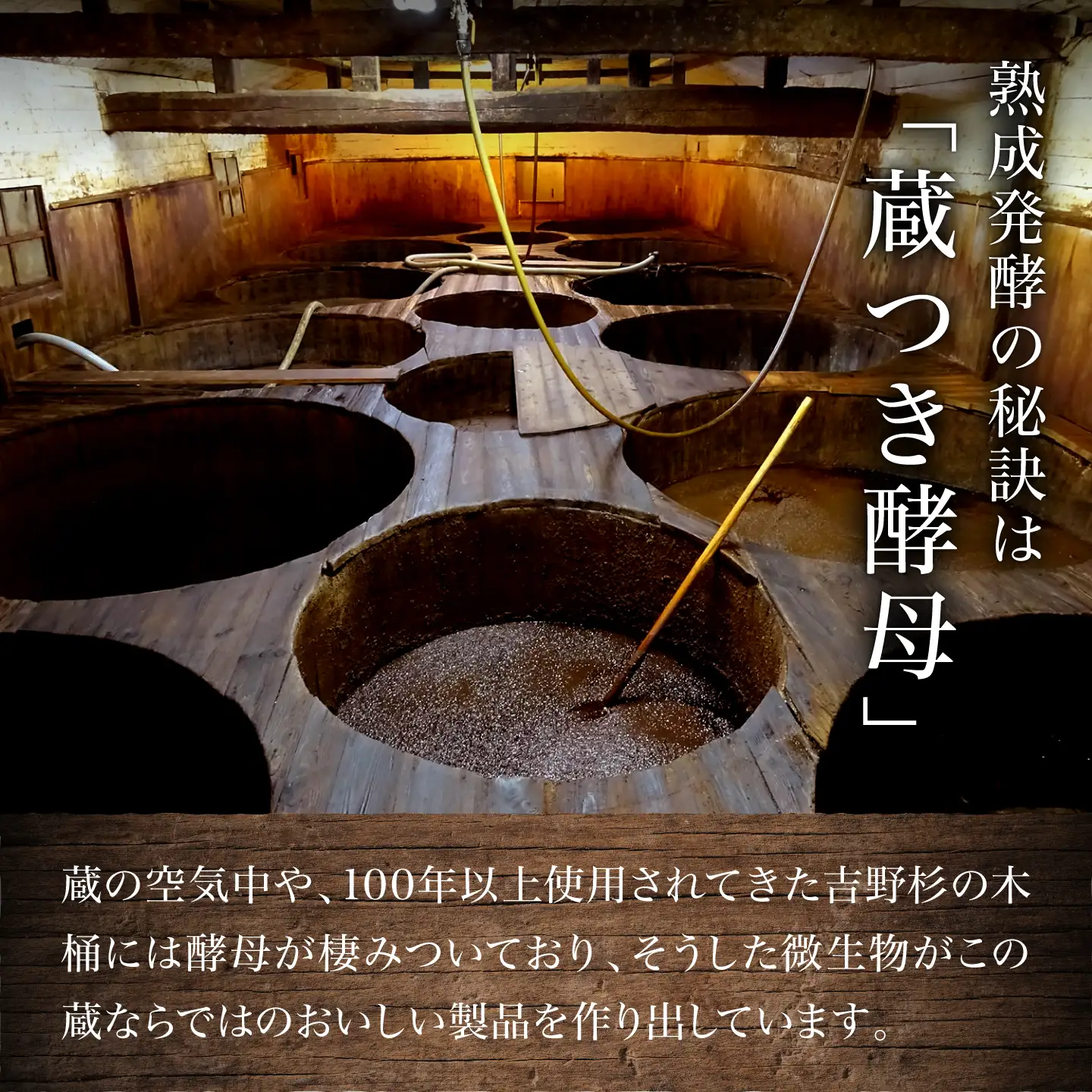 調味料 味噌 1kg×2個 [BRBE029]