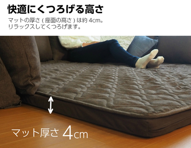 ソファ コーナーソファ L型 洗えるラグ付き ブラウン リビング 滋賀 愛荘