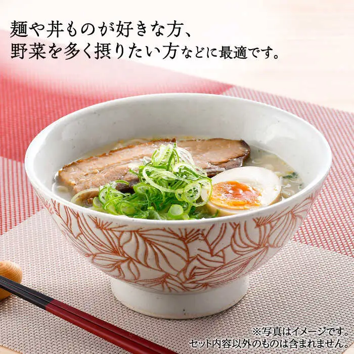 【波佐見焼】白亜ポトス 小丼ぶり 4カラーセット 麺鉢 大ボウル　【福田陶器店】[PA326]