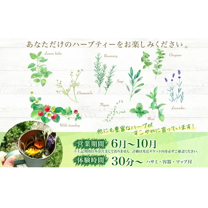 ハーブティー作り体験 摘みたて ハーバルランチ ハーブティー作り体験
