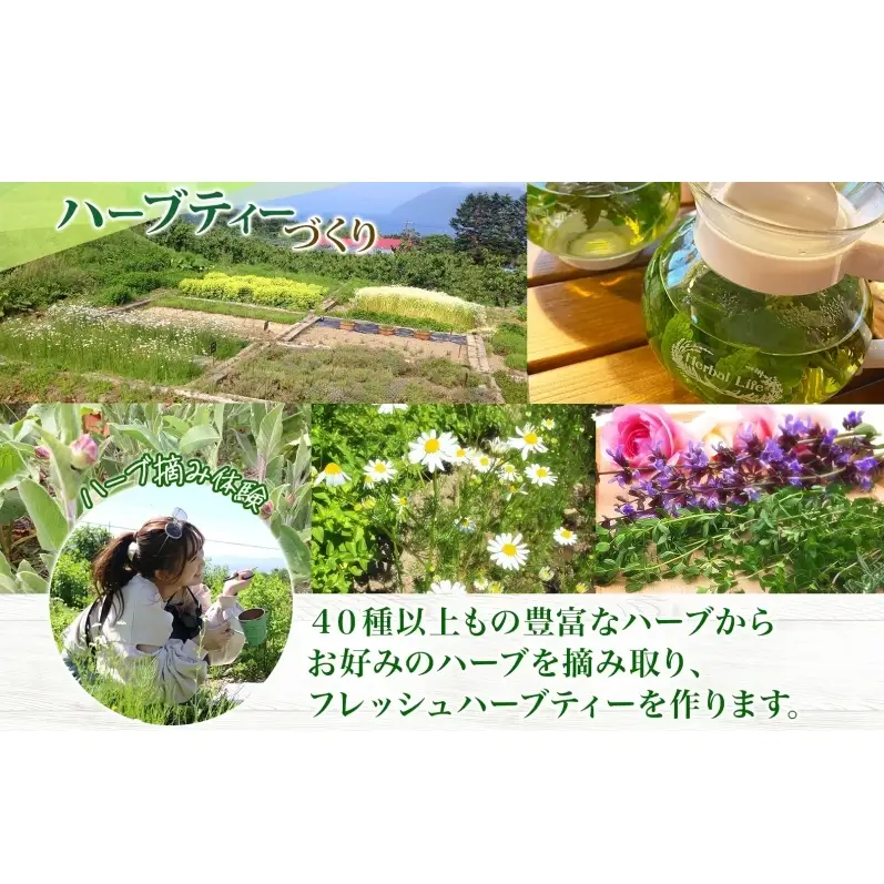 アロマウォーター蒸留体験 ハーブ ハーバルランチ アロマウォーター蒸留体験