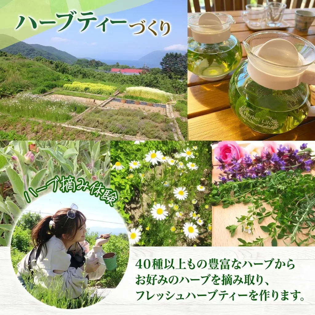 アロマウォーター蒸留体験 ハーブ ハーバルランチ アロマウォーター蒸留体験【体験2枚】
