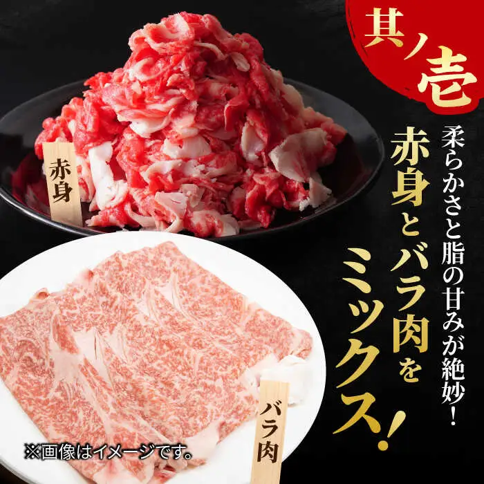 【まるっと便利】佐賀牛 赤身とバラ肉の切り落とし 600g 吉野ヶ里町/NICK’S MEAT[FCY029]