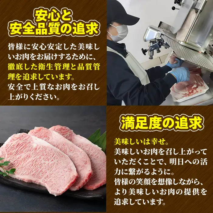 宮崎牛 モモスライス(500g) 牛肉 肉 ブランド牛  冷凍 国産 精肉 お取り寄せ 黒毛和牛 宮崎県 【LJ007】【ローカルブランディング株式会社】