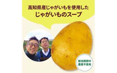 高知県産じゃがいものポタージュ180ｇ×6食　
