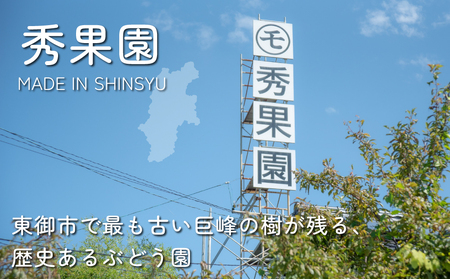 【先行受付2026年発送】種あり巨峰2kg（4~6房）｜秀果園　※2025年9月上旬~10月下旬順次発送予定