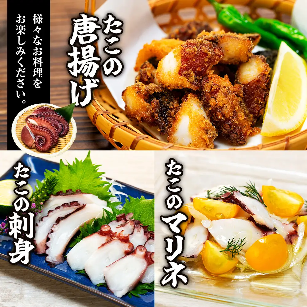 地だこボイル ５パック (100g×5) 冷凍 たこ タコ 蛸 海鮮 海産物 アヒージョ おつまみ 自家製チョジャン付き 愛知県 南知多町