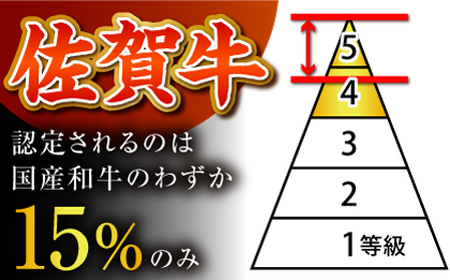 ハンバーグ ＜プレミアム＞150g×5個 HCS102 ハンバーグ 和牛 A5 牛肉 加工品