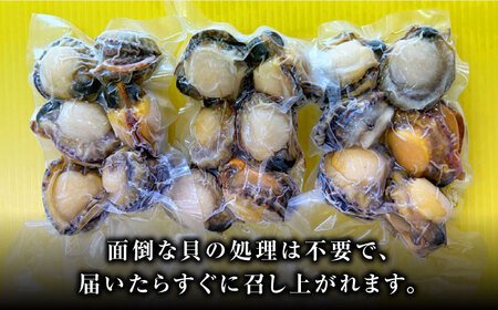ヒオウギ貝 むき身 6個×3パック 肉厚 ひおうぎ貝 下処理済 貝 新鮮 特産品 冷凍配送  [WCS001]