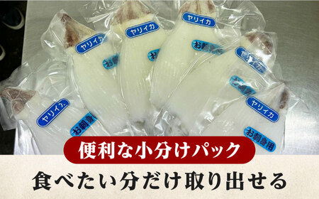 対馬産 ヤリイカ 刺身用 6杯 冷凍配送 小分け いか 新鮮 海鮮 冷凍配送 [WCS003]