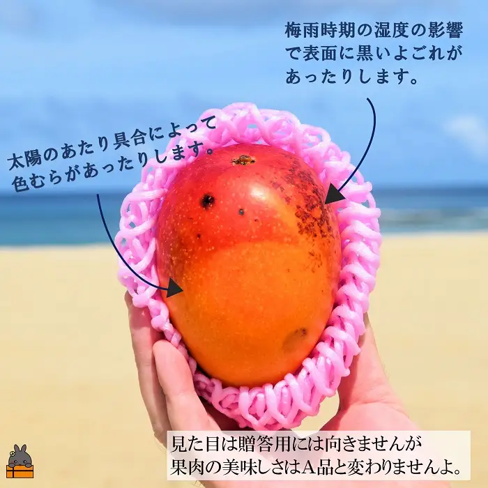 ≪今が旬！≫訳あり！【家庭用】徳之島産完熟マンゴー2kg（4～8玉）フルーツ わけあり 訳あり 果物