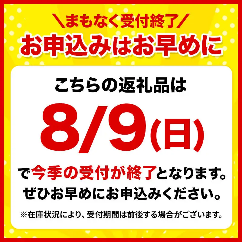とうもろこし 嶽きみ（だけきみ）2Lサイズ 10本【8月中旬～クール便発送】