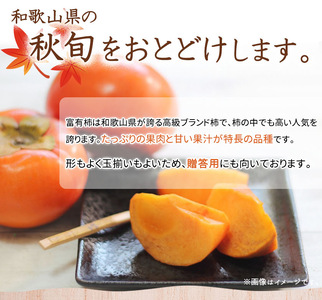 和歌山秋の味覚 富有柿 約4kg 化粧箱入_G7111