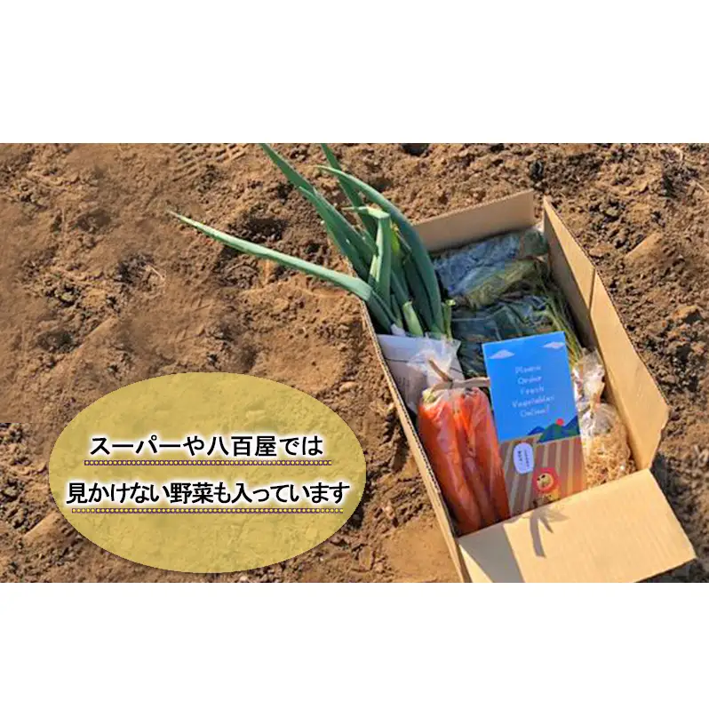 野菜 定期便 3ヶ月 1名様向け 野菜5種 セット 旬の野菜 生野菜 やさい 新鮮 鮮度 産地直送 詰め合わせ 冷蔵 千葉 定期 お楽しみ 3回 
