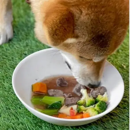 軽井沢鹿工房　愛犬用鹿肉　手作り食応援セット_ ペット用品  _【配送不可地域：離島】【1522014】