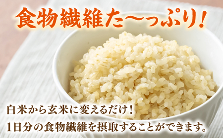 【先行受付】【11月以降順次発送】令和6年度産 福岡県桂川町産夢つくし 玄米10kg 桂川町/一般社団法人地域商社いいバイ桂川 [ADBB005] 夢つくし 福岡 玄米 米 コメ 米 おにぎり 